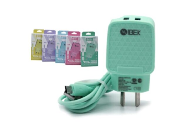 CARGADOR IBEK 4.8 V8 IB4803